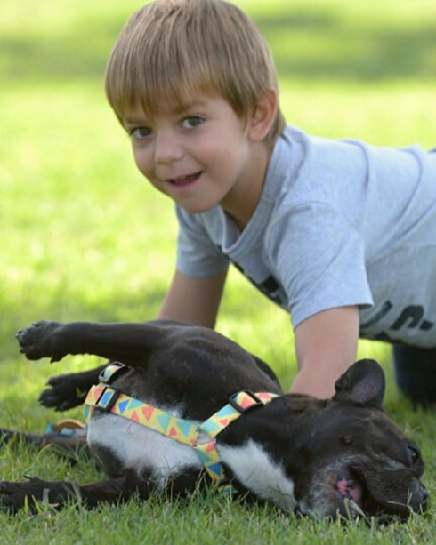 Pretal Doble Agarre Guiza